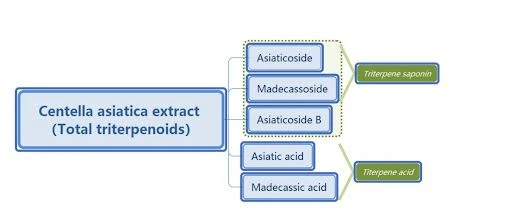 Centella Asiatica Extract 32